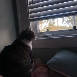 Meet your Posher, Anessia